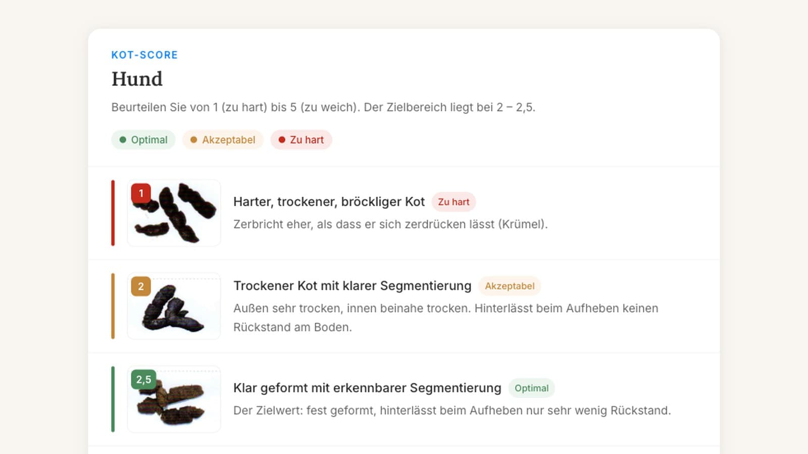 Kotqualität bei Hund und Katze beurteilen: Konsistenz, Farbe und Warnzeichen